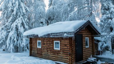 Photo of Важные этапы строительства бани